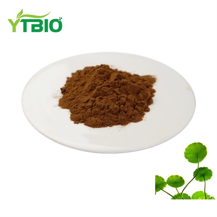 Lotus Leaf Extract Powder
